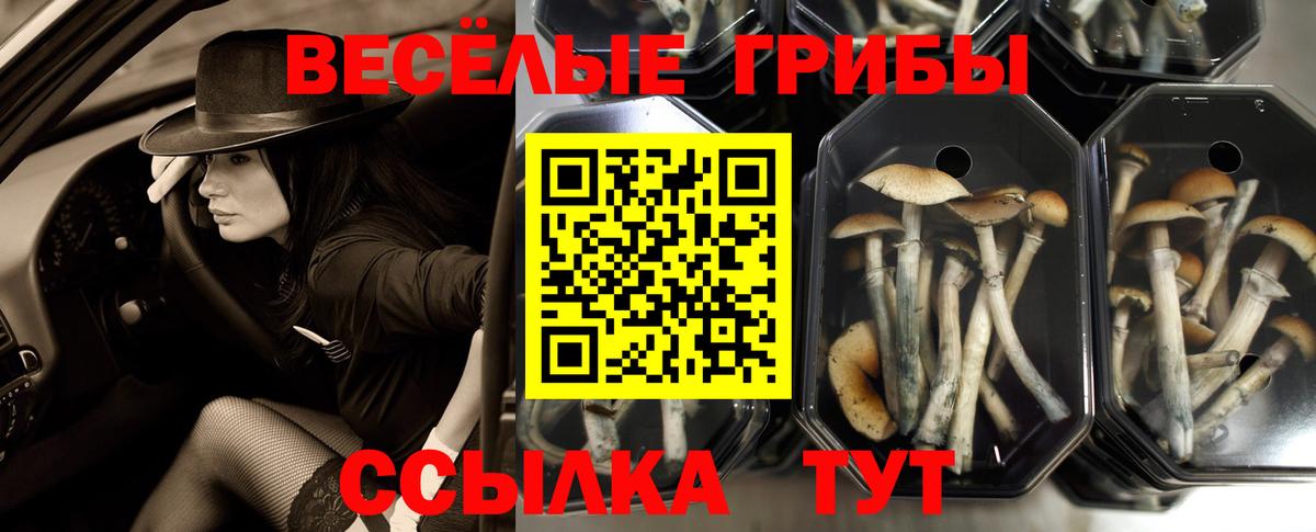 Галлюциногенные грибы Psilocybe  Галлюциногенные грибы Magic Shrooms  Благовещенск  Вход с VPN 